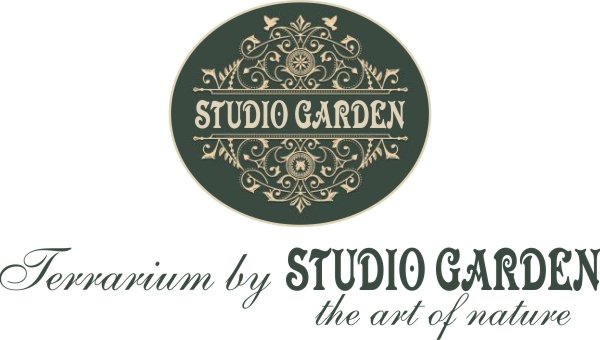 Studio Garden - Amenajari Gradini Constanța